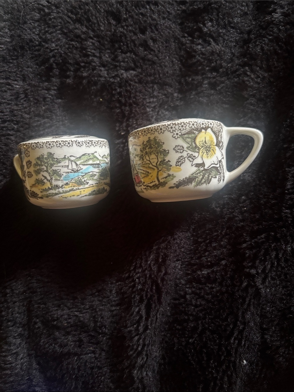 Cottage core Vintage scenic village, transfer ware Salt and Pepper shakers -